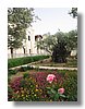 gethsemane-garden-03.jpg