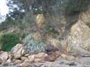 Batemans-Bay-beach01