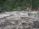 Batemans-Bay-beach02