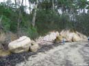 Batemans-Bay-beach11