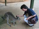 Cathy-and-kangaroo-at-Featherdale