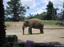 Sydney-Zoo01