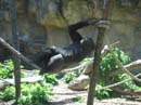 Sydney-Zoo03