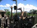 Sydney-Zoo07