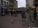 Colmar--man-with-six-doggies