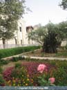 gethsemane-garden-01