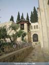 gethsemane-garden-03