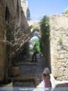 Yafo11