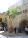 Yafo13