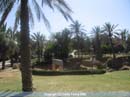 Yafo16