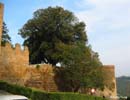 Orvieto-outer-walls