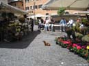 Roman-market1
