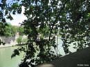Tiber04