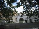 Tiber08