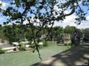 Tiber10