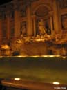 Trevi4