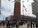 San-Marco----pigeons-in-flight
