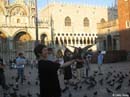 San-Marco-pigeons5