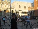 San-Marco-pigeons6
